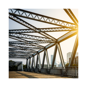 Bridge Building MS Structure